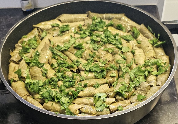 עלי גפן ממולאים